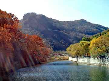 正版澳门天天开彩大全，小甜甜 台湾